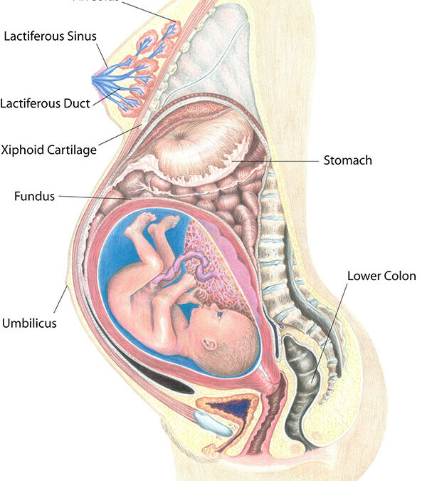 Not All ChildBirth Education Classes are Equal